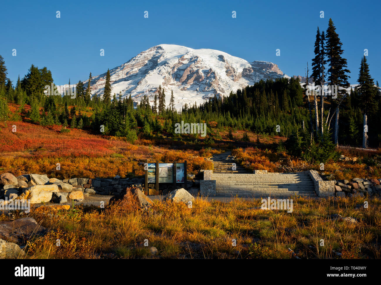 WA15967-00...WASHINGTON - inizio di un nitido autunno mattina al paradiso in Mount Rainier National Park. Foto Stock