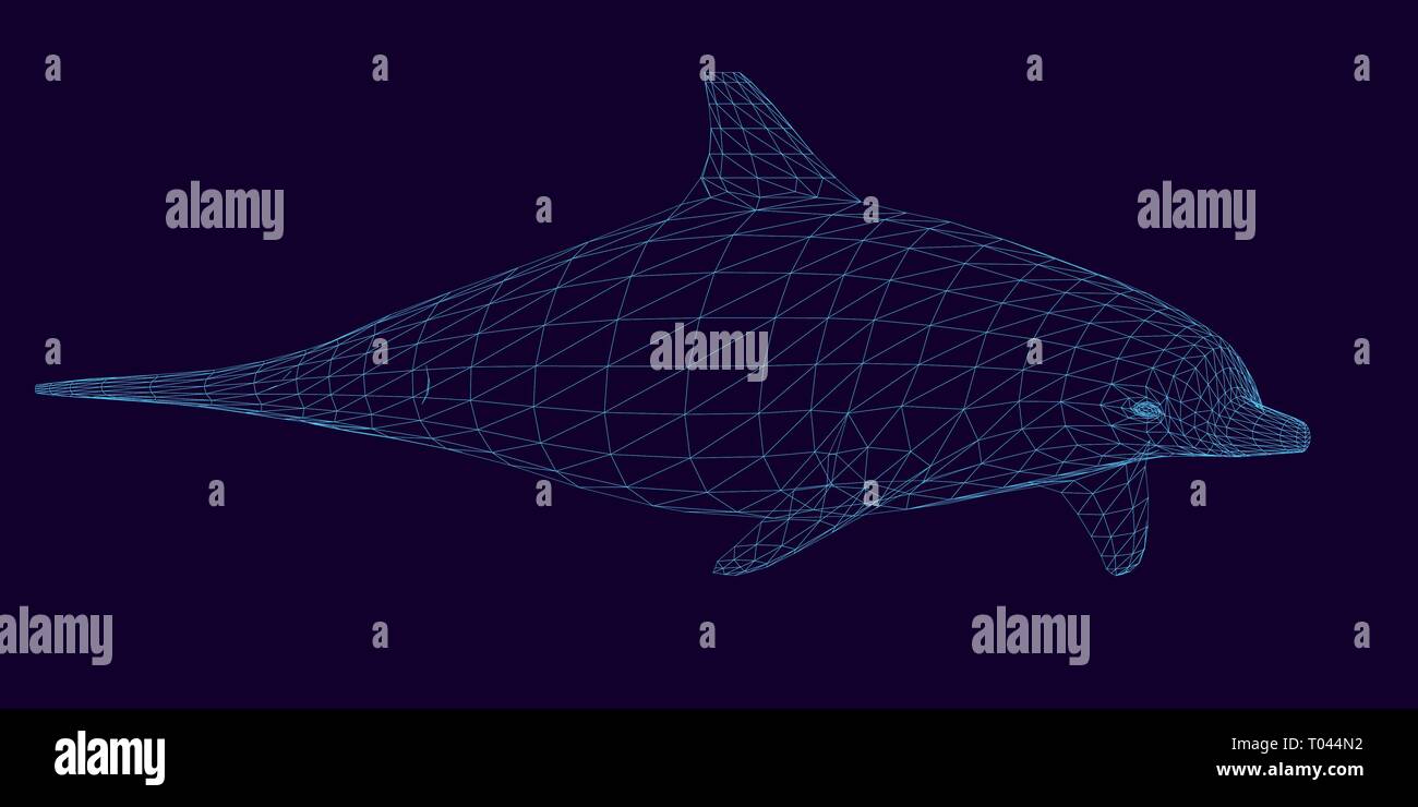 Wireframe della poligonale delfino di linee blu su uno sfondo scuro. 3D. Vista laterale. Illustrazione Vettoriale. Illustrazione Vettoriale