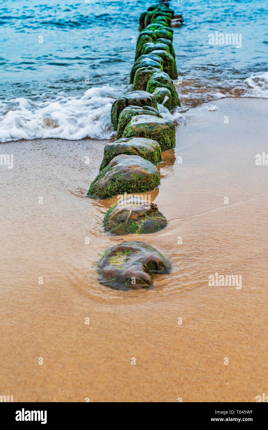 Vecchi pennelli sulla spiaggia del Mar Baltico nei pressi di Kolobrzeg, West Pomerania, Polonia, Europa Foto Stock