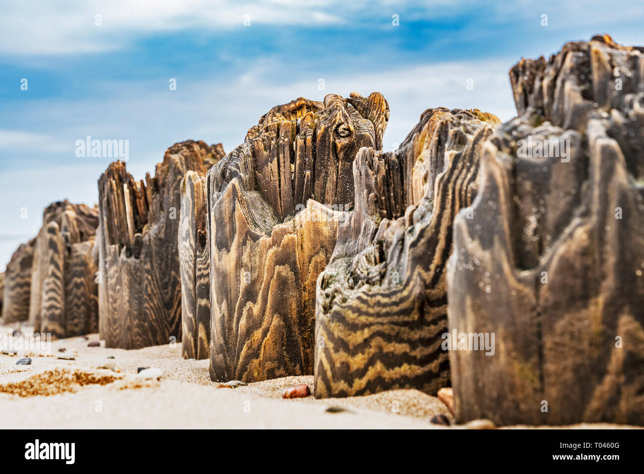 Vecchio e trasandato pennelli sulla spiaggia del Mar Baltico nei pressi di Kolobrzeg, West Pomerania, Polonia, Europa Foto Stock