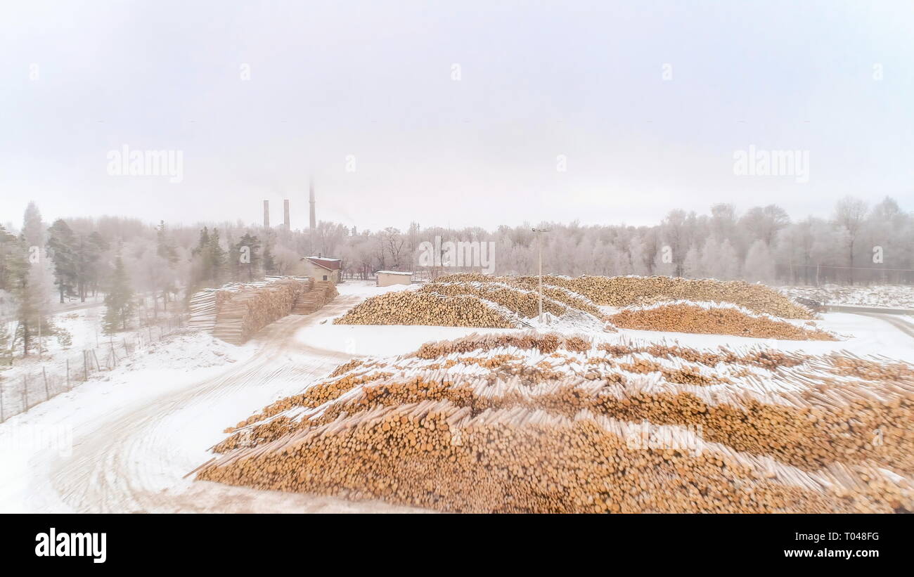 La pila di boschi sul terreno nevoso sulla stagione invernale in Estonia Foto Stock
