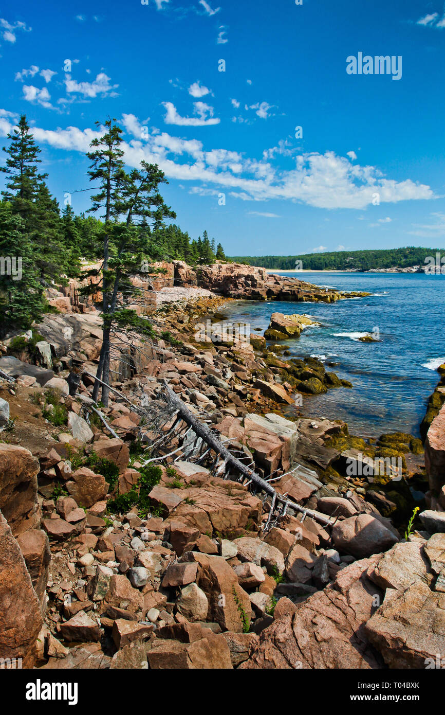 Acadia costa nel Maine Foto Stock