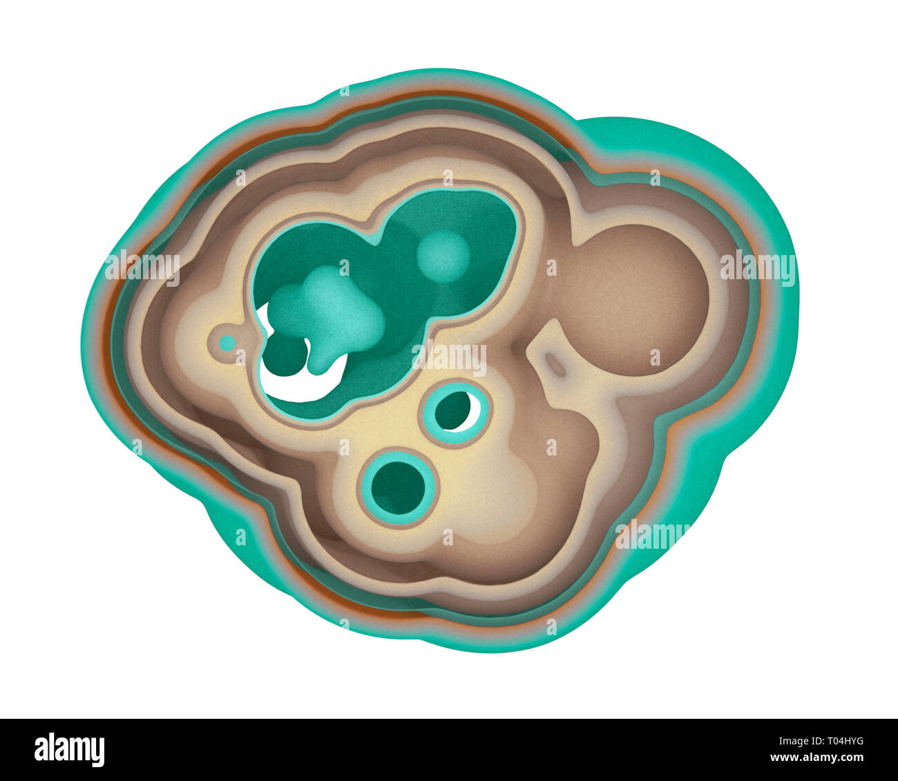 Cellula organica Sezione trasversale. La scienza medica e il concetto di ricerca Foto Stock