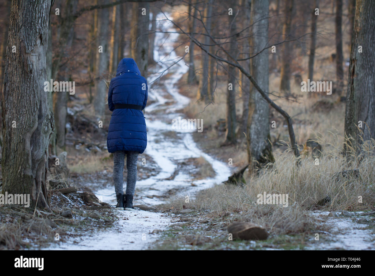 Donna in piedi da solo in inverno sentiero forestale. vista posteriore Foto Stock