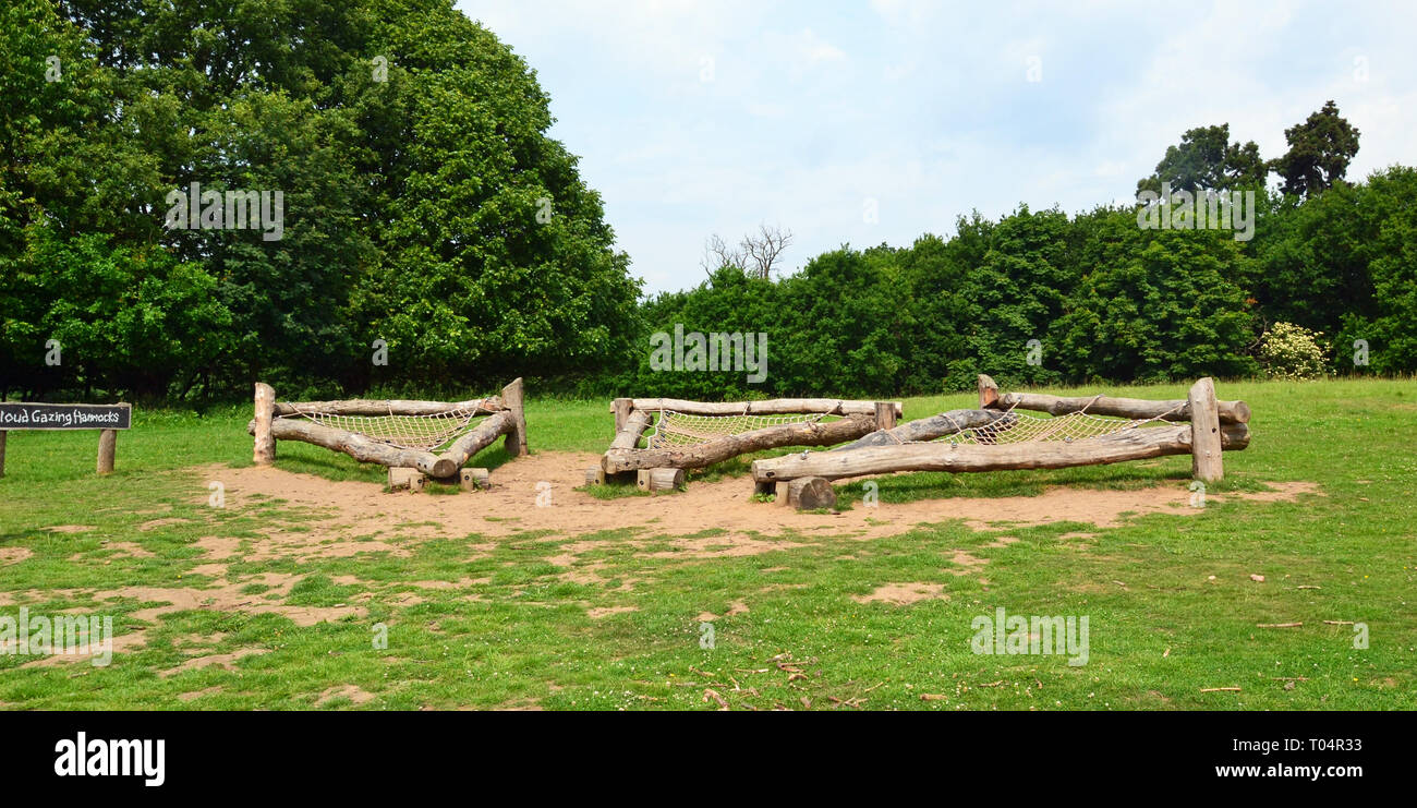 Cloud amache di pascolo a Weald Country Park, Sud Weald, Brentwood, Essex, Regno Unito Foto Stock