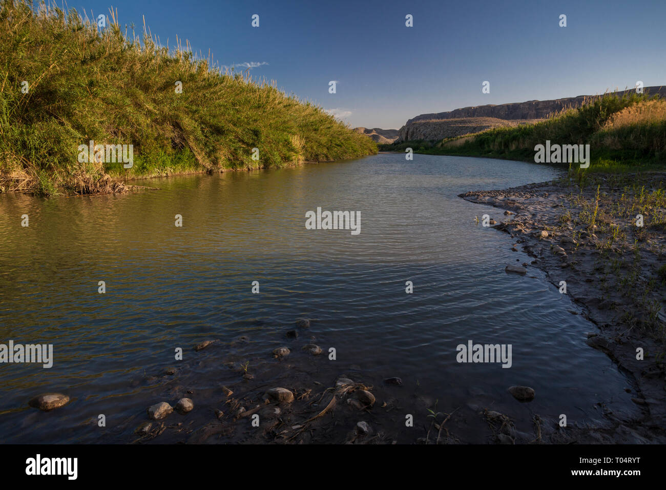 Parco nazionale di Big Bend, Brewster County, Texas, Stati Uniti d'America Foto Stock