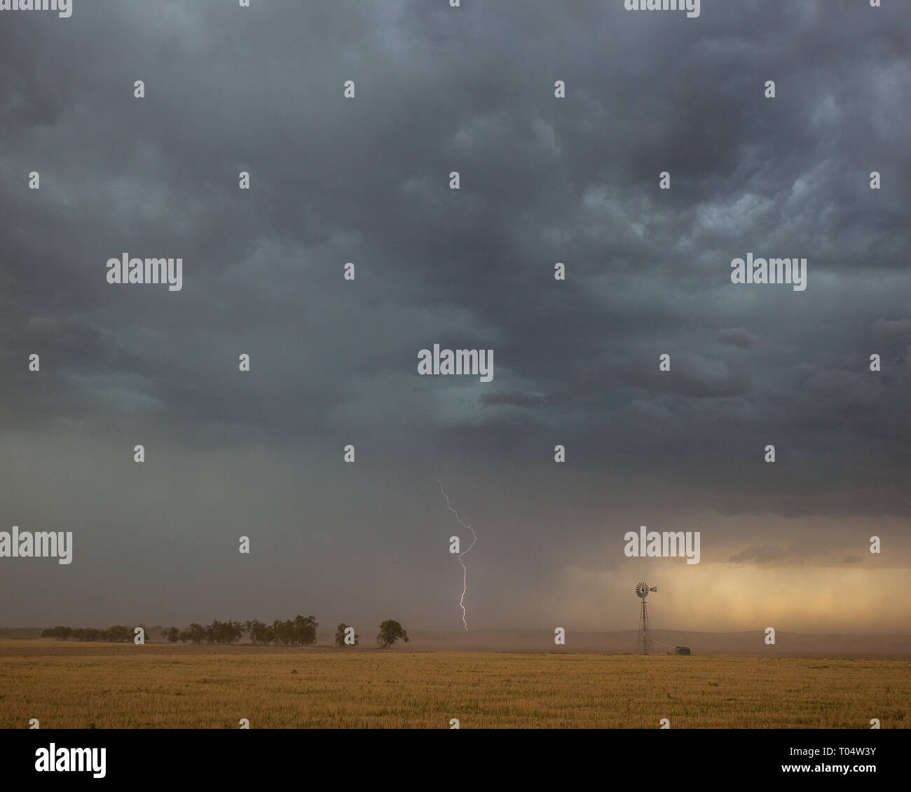 San Angelo, Tom Green County, Texas, Stati Uniti d'America Foto Stock