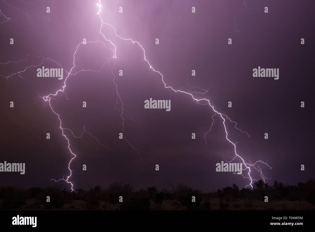 San Angelo, Tom Green County, Texas, Stati Uniti d'America Foto Stock