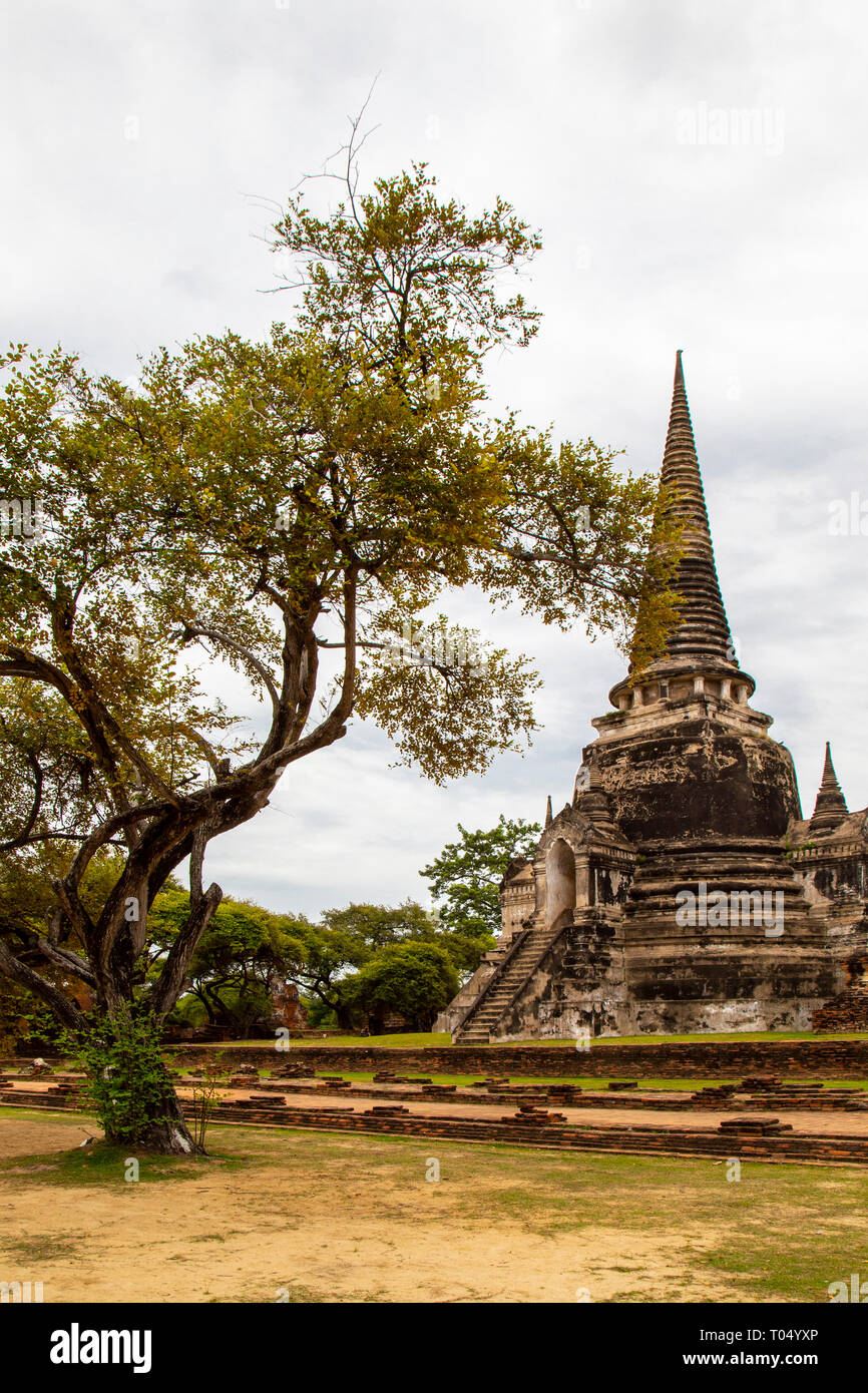 Il Wat Phra Sri Sanphet, vecchio tempio buddista, Ayutthaya, sito Patrimonio Mondiale dell'UNESCO, Thailandia, Sud-est asiatico, in Asia Foto Stock