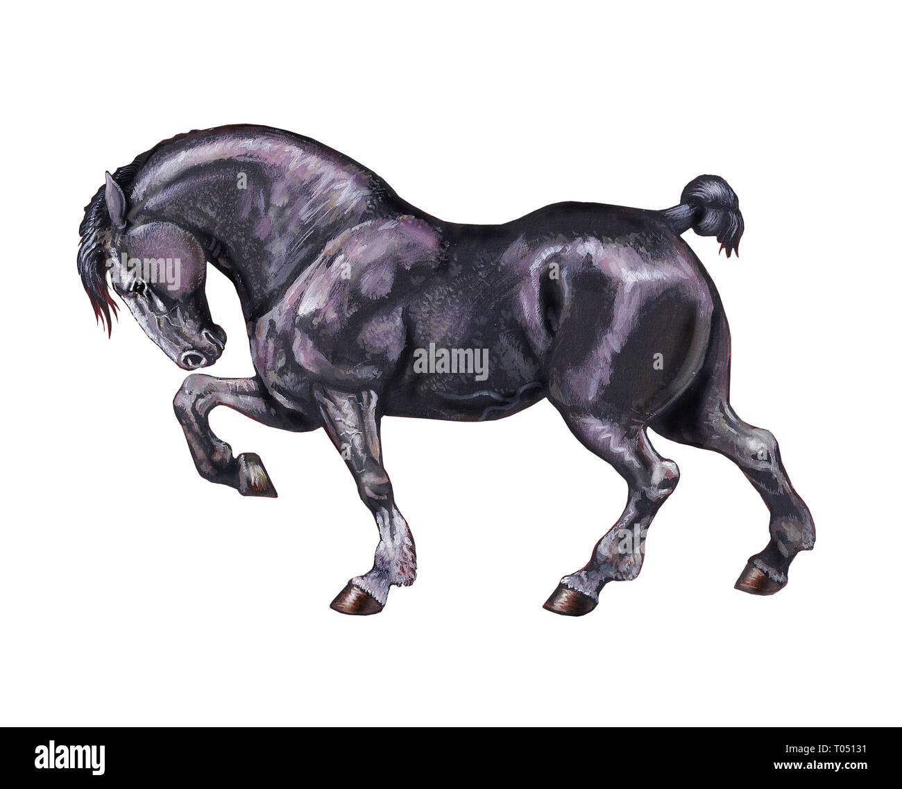 Progetto di illustrazione del cavallo. Ritratto di cavallo. Horse pittura acrilica. Foto Stock