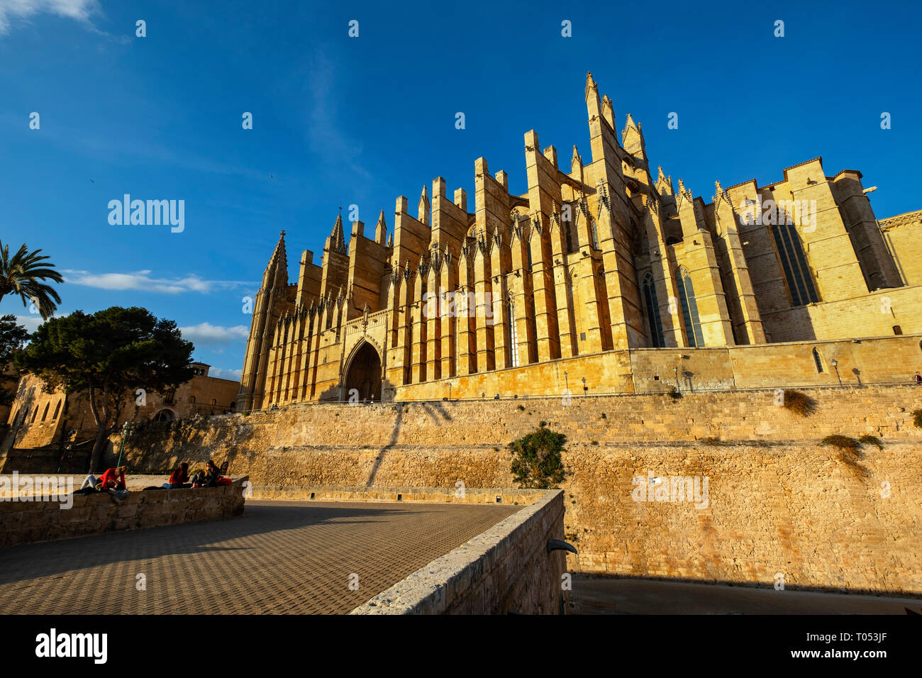 La Seu Cathedral, Palma de Mallorca. Maiorca, isole Baleari, Spagna Europa Foto Stock