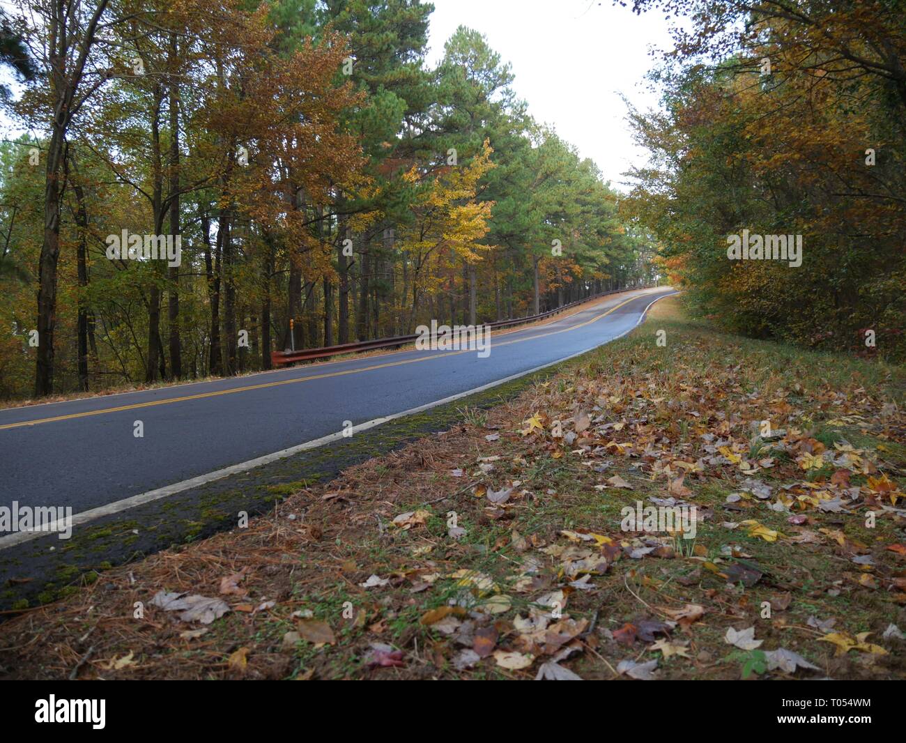 Vista stradale con splendidi colori della caduta alla Talimena National Scenic Byway in Oklahoma Foto Stock