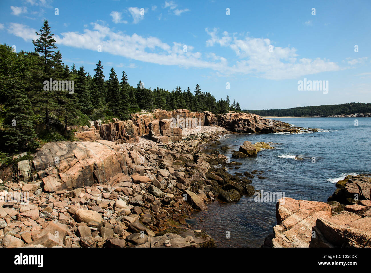 Costiera Acadia NP, Maine in estate Foto Stock