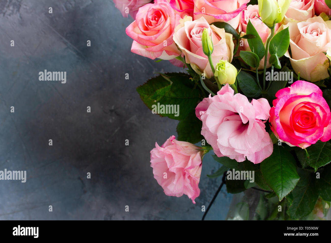 Freschi di fiori di rosa su grigio Foto Stock