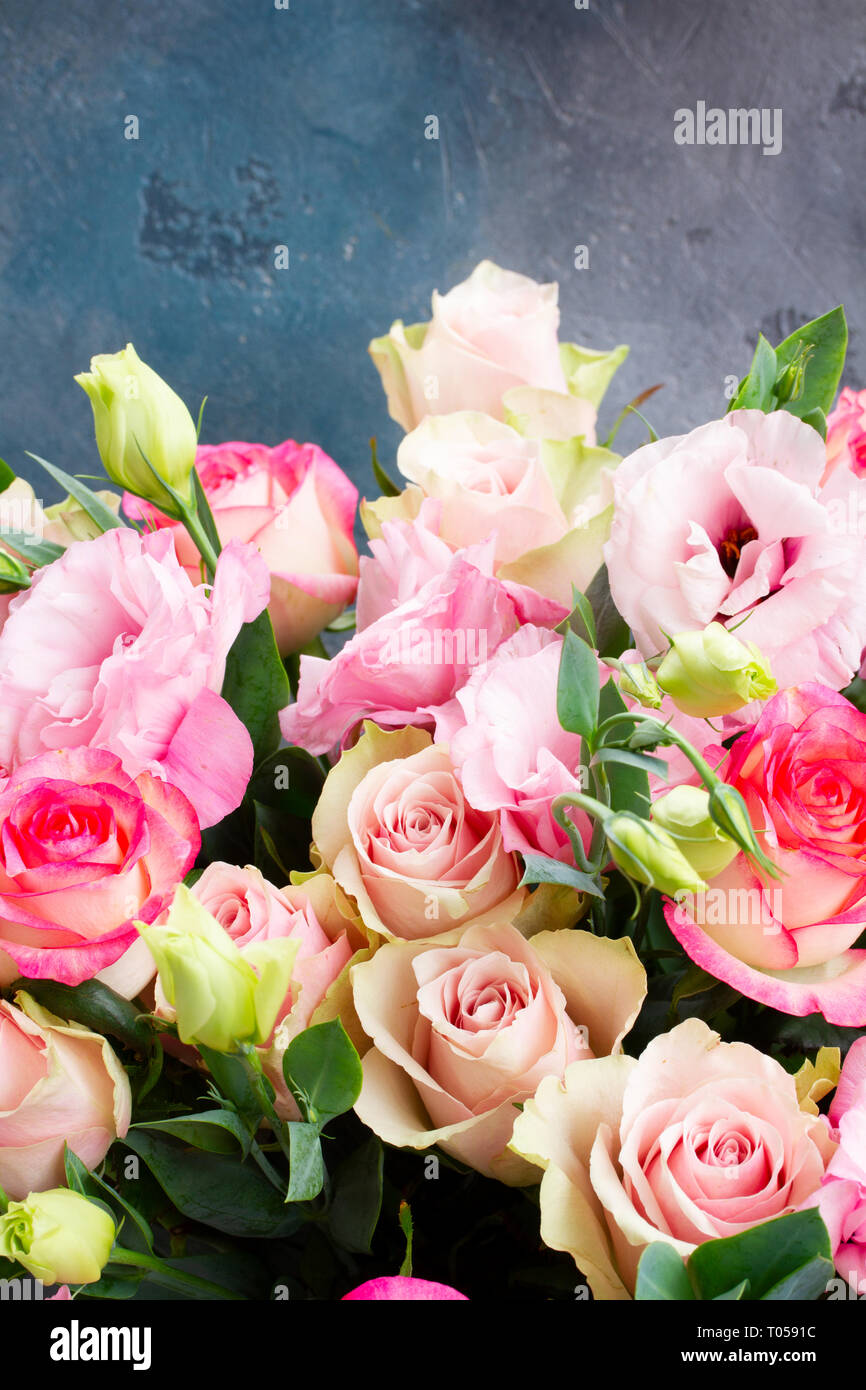 Freschi di fiori di rosa su grigio Foto Stock