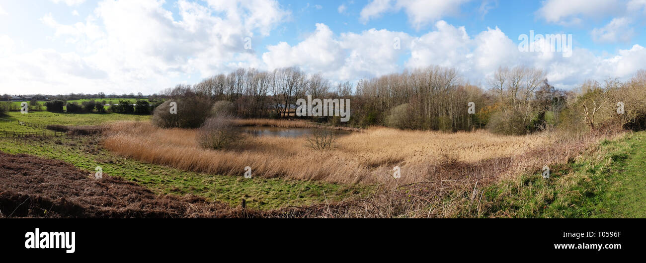 Vista panoramica con laghetto nella vera campagna di Cheshire vicino a Sandbach Regno Unito Foto Stock