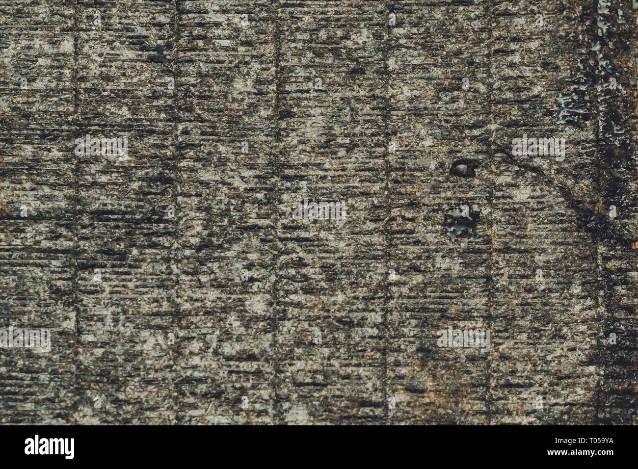 Una foglia di un verde nori della cucina Giapponese per la preparazione di sushi in casa 2019 Foto Stock