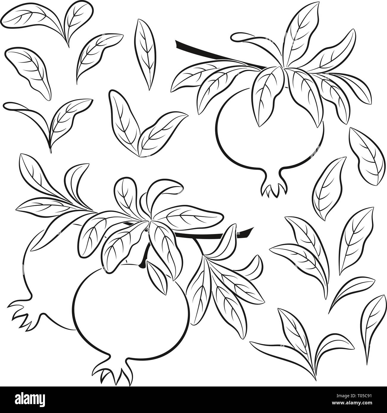 Set di melograni pittogrammi Illustrazione Vettoriale