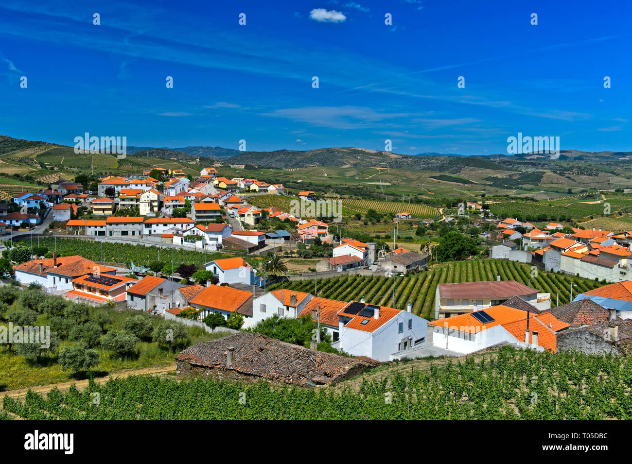 Il comune di Horta do Douro nella regione del vino di Porto Alto Douro, Vila Nova de Foz Coa, Douro, Portogallo Foto Stock