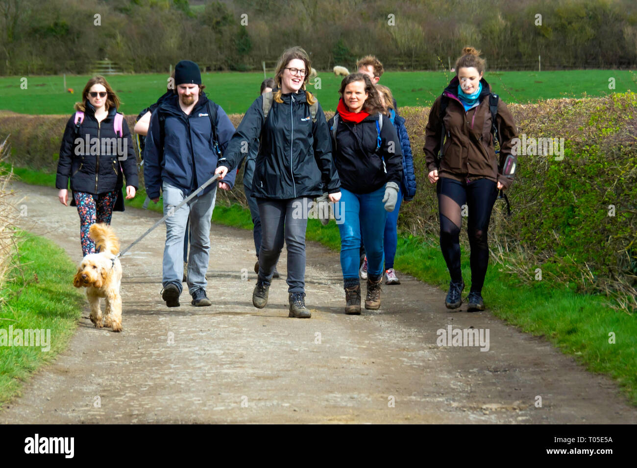 Un gruppo di giovani uomini e donne e un cane a camminare su una strada di campagna in grande Ayton North Yorkshire Foto Stock