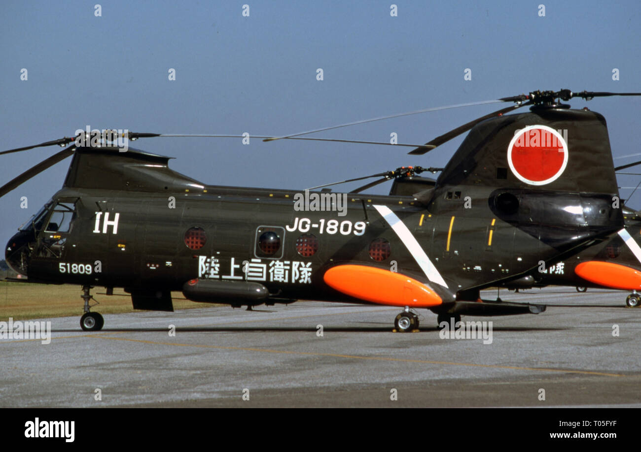 Japanisches Heer JGSDF Kawasaki KV-107 Foto Stock