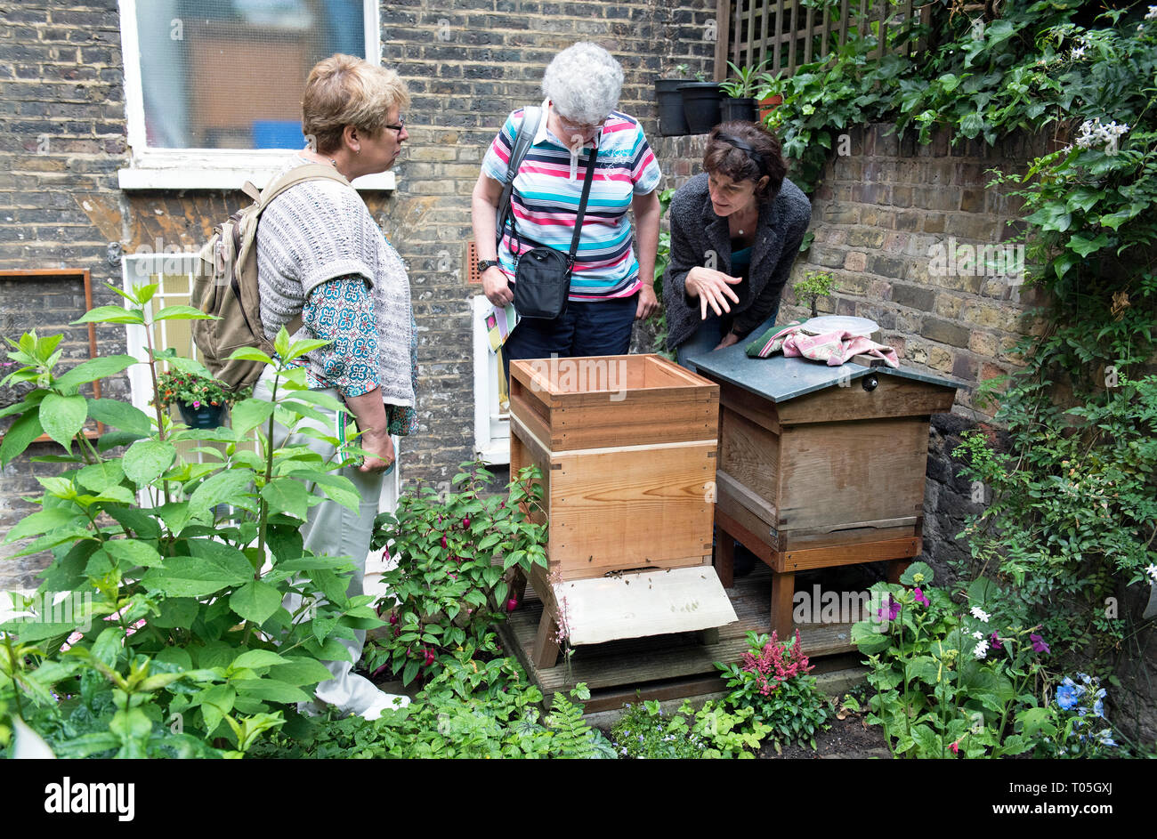 Onorevoli guardando alveari, Melissa Garden Bee Santuario, Compton Terrace, London Borough di Islington Foto Stock
