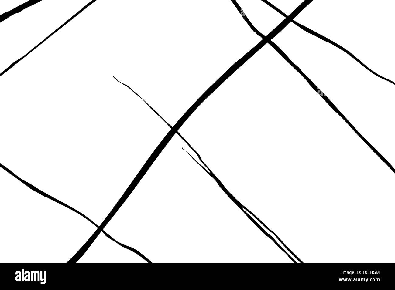 Monocromatico sfondo astratto con linee casuali. La curva per il web o la presentazione con griglia. I colori nero e bianco. Foto Stock