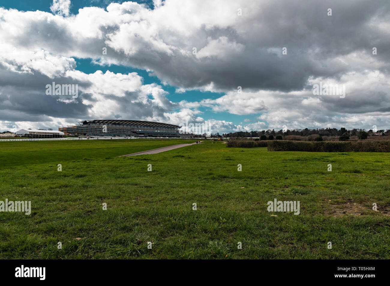 Ascot, Inghilterra - Marzo 17, 2019: vista dell'iconico British Ascot Racecourse heath, noto per le sue corse di cavalli. Foto Stock