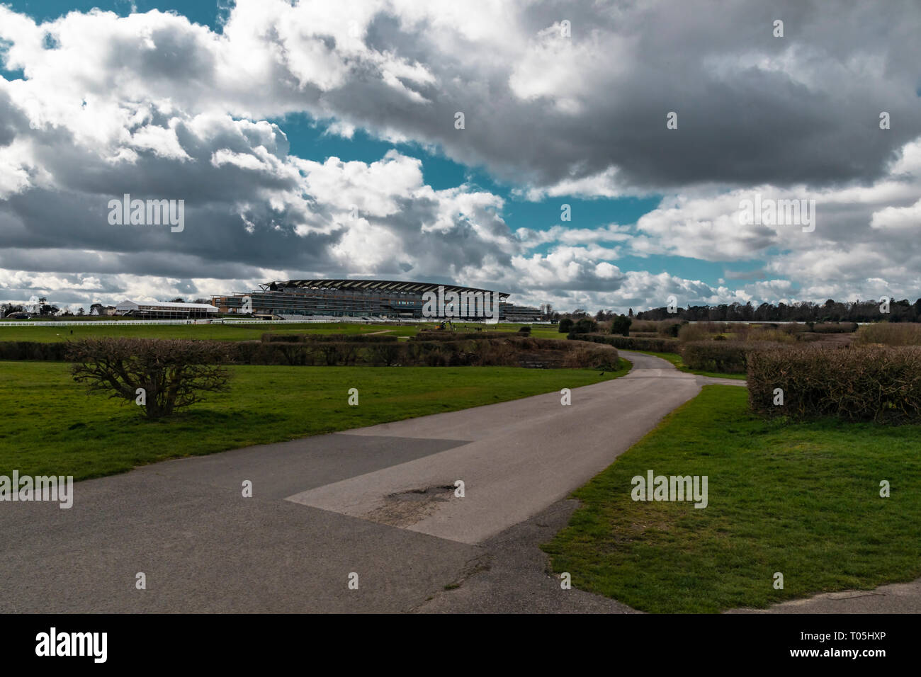 Ascot, Inghilterra - Marzo 17, 2019: vista dell'iconico British Ascot Racecourse heath, noto per le sue corse di cavalli. Foto Stock