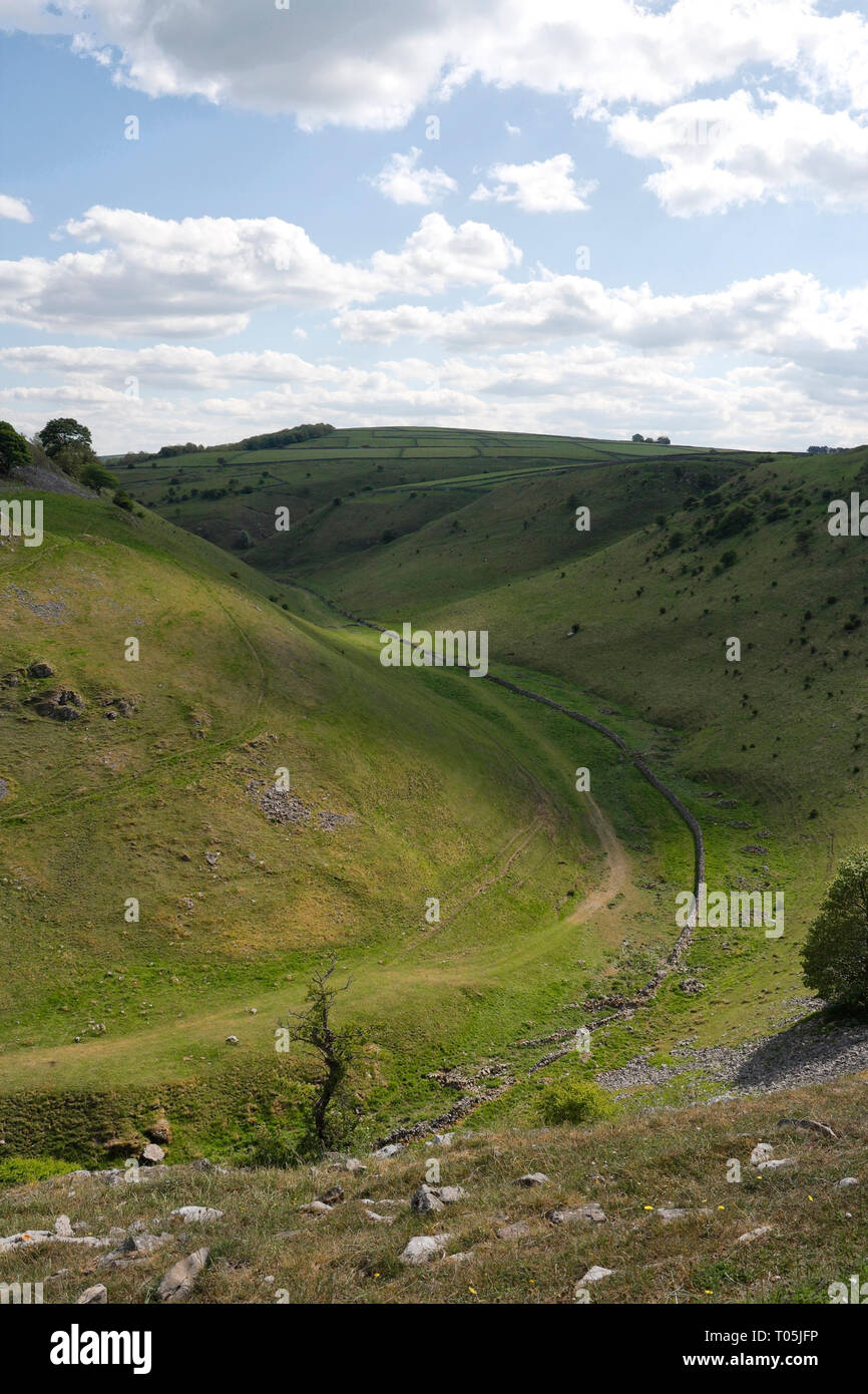 Cresbrook Dale nel Derbyshire Inghilterra Regno Unito, valle di pietra calcarea secca, parco nazionale del distretto di Peak Foto Stock