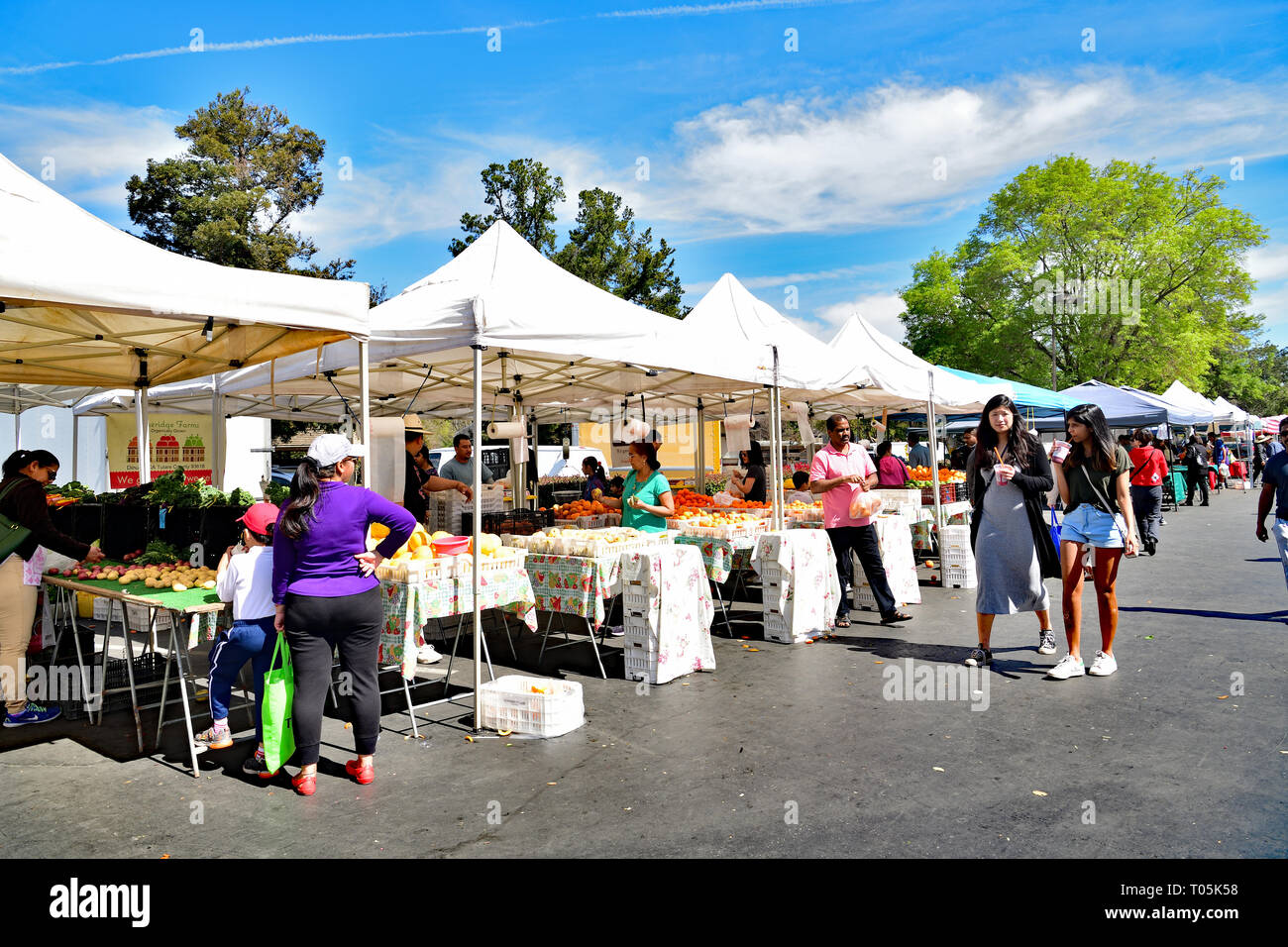 Gli amanti dello shopping al mercato degli agricoltori Foto Stock
