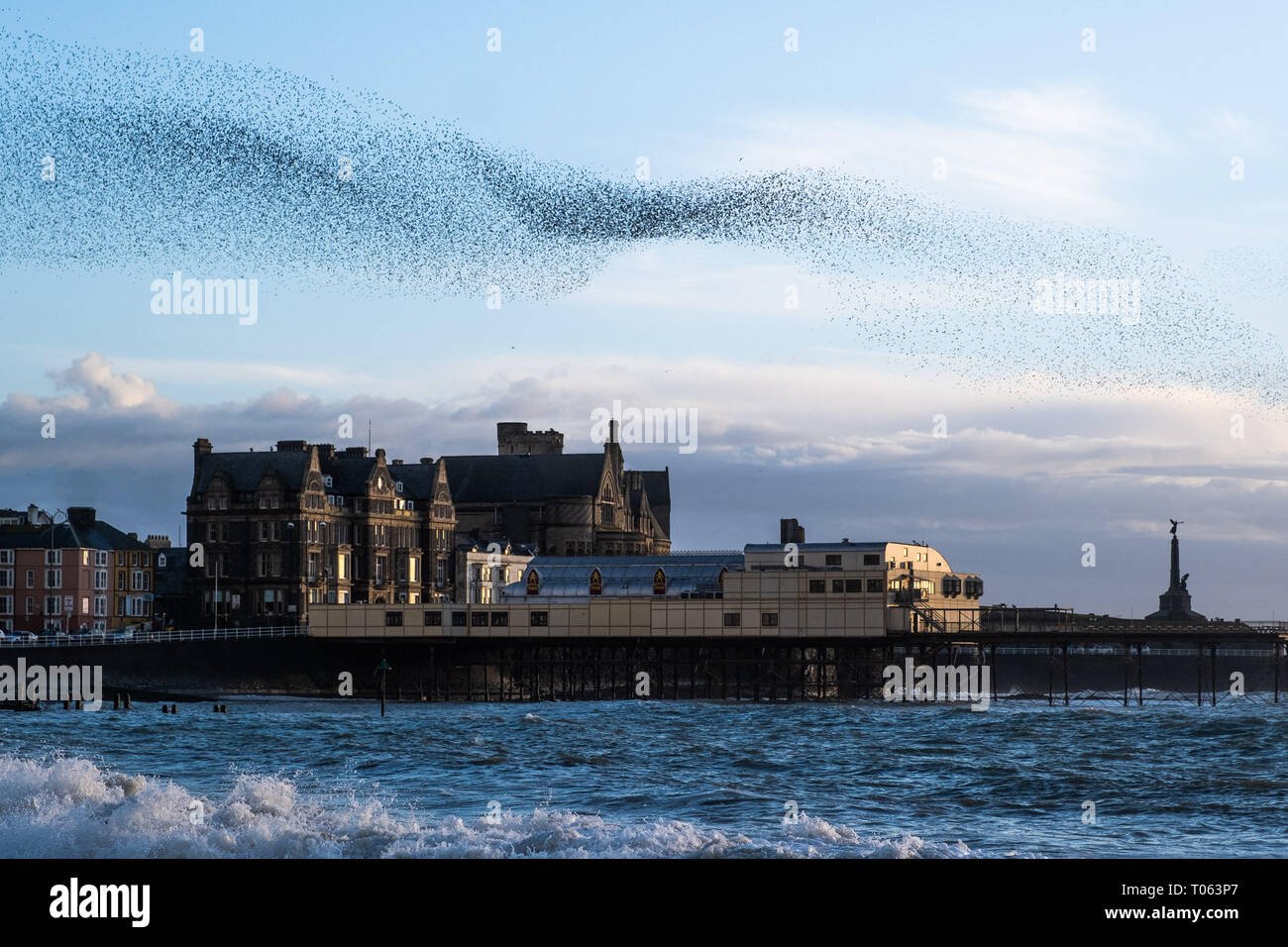 Aberystwyth, UK. Xvii Mar, 2019. Decine di migliaia di storni eseguire loro nightly coreografico murmurations nel cielo sopra Aberystwyth come la giornata volge alla fine. Gli uccelli migratori sono prossimi alla fine del loro soggiorno invernale e volerà presto spento per il ritorno al luogo di nidificazione in Scandinavia per l'estate. Aberystwythis uno dei pochi urban posatoi nel paese e attira gente da tutto il Regno Unito per testimoniare la spettacolare nightly visualizza tra ottobre e marzo. Credito: keith morris/Alamy Live News Foto Stock