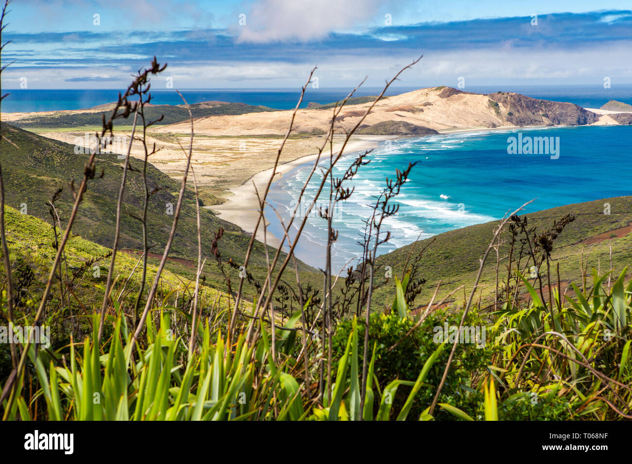 Faro di Cape Reinga, Nuova Zelanda Foto Stock