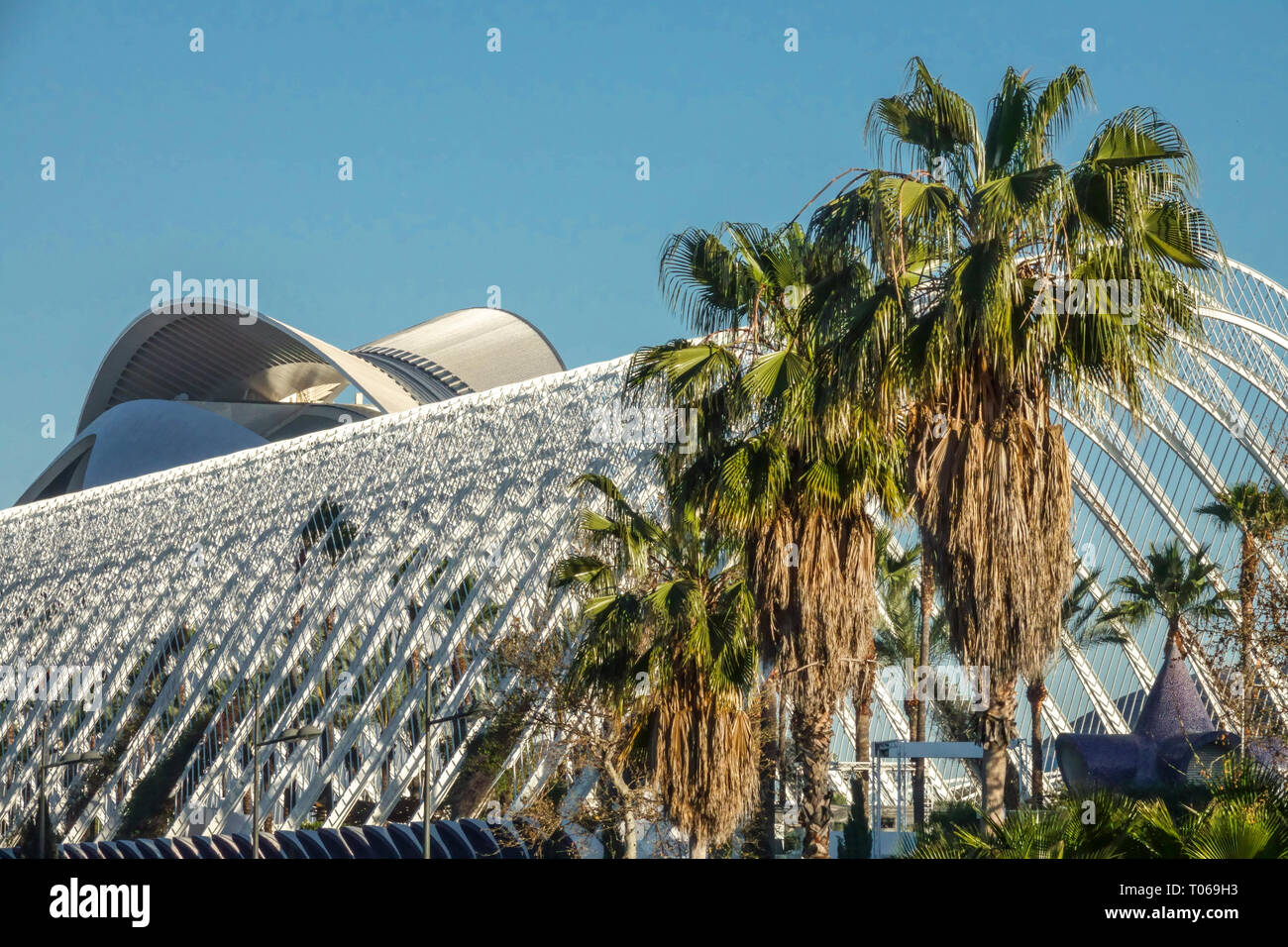 L'Umbracle, palma di Valencia Città delle Arti e delle Scienze di Valencia, architettura spagnola Foto Stock