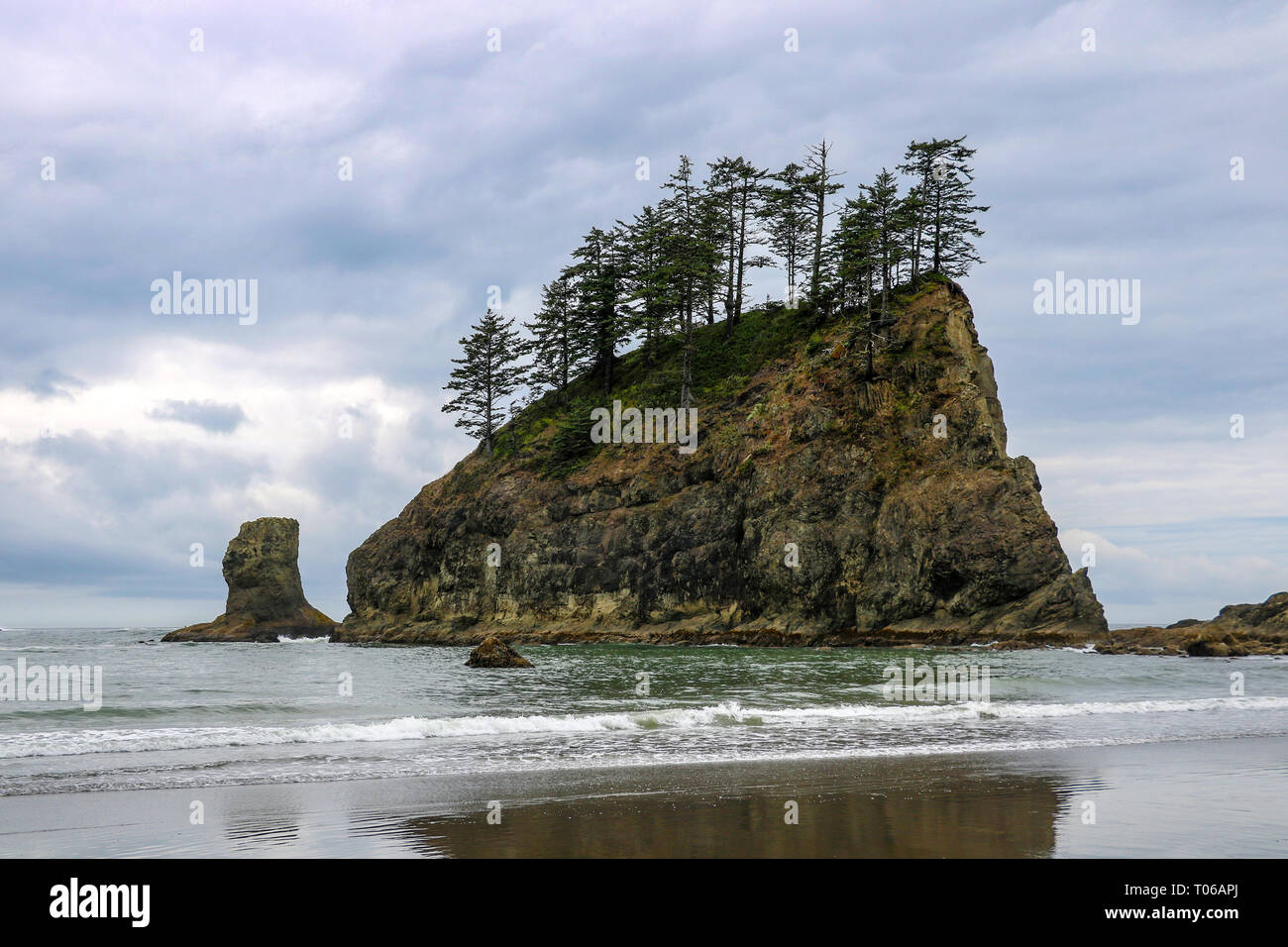 Paesaggio della seconda spiaggia presso il Parco Nazionale di Olympic, Washington, Stati Uniti d'America Foto Stock