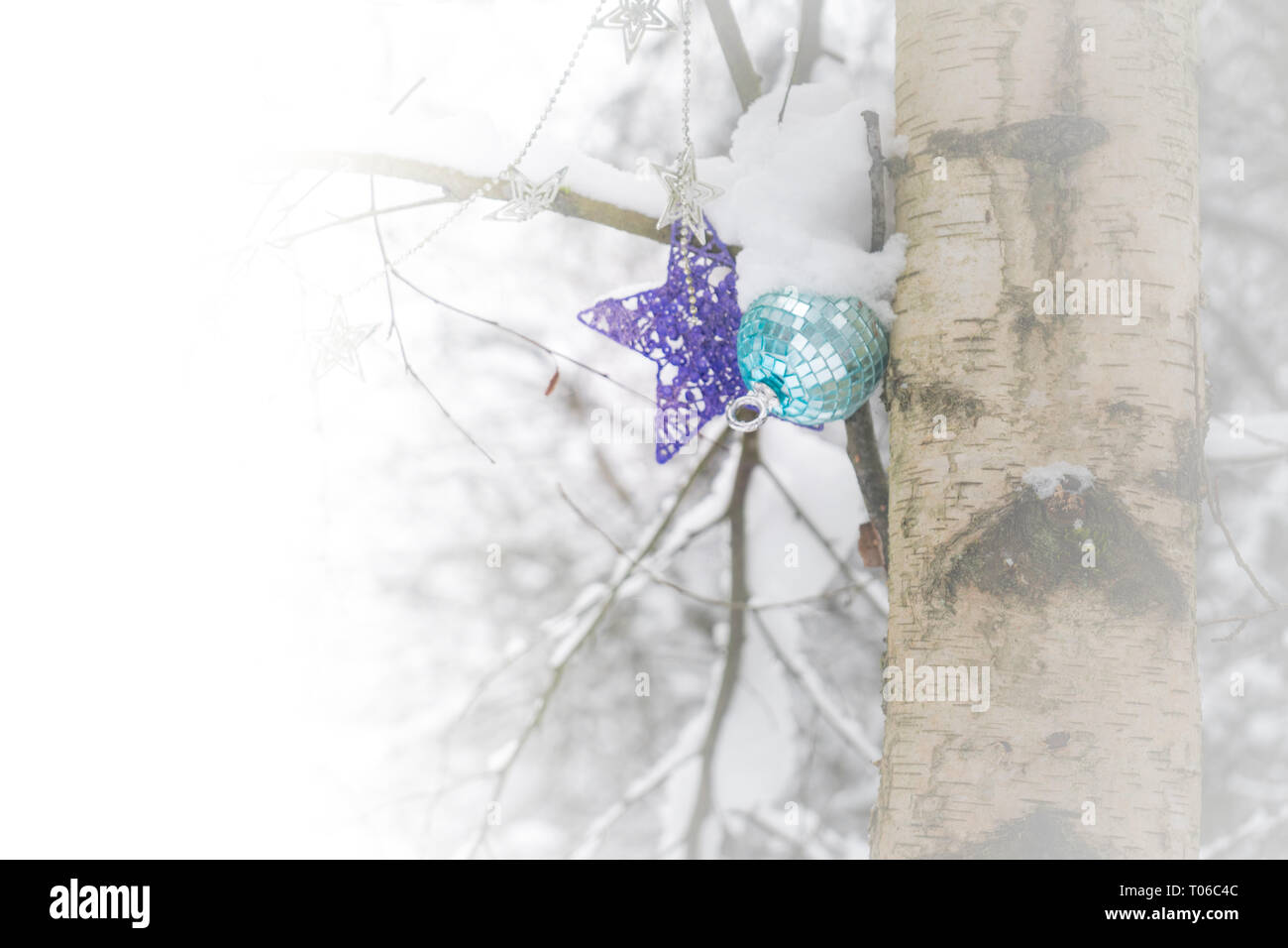 Addobbi natale appeso a un albero in un bosco innevato dopo una tempesta di neve, raffiguranti, inverno freddo, Natale, vacanze e l'inverno. Foto Stock