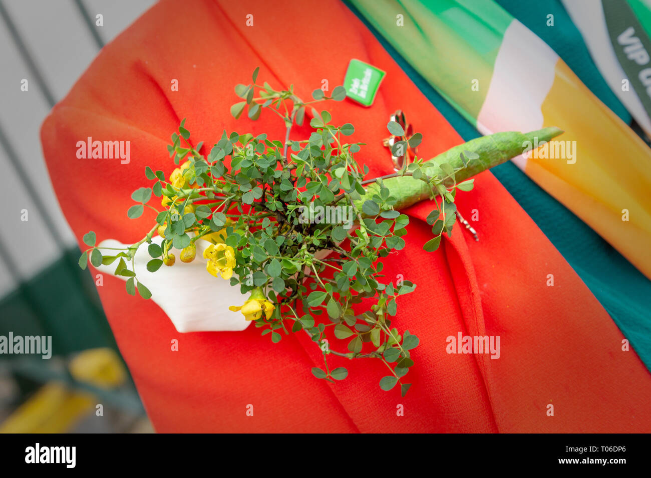 L annuale il giorno di San Patrizio Parade ha avuto luogo a partire dalle 10.30 di mattina dalla Irish Club in Orford Lane per 'il fiume della vita' in Bridge St Foto Stock