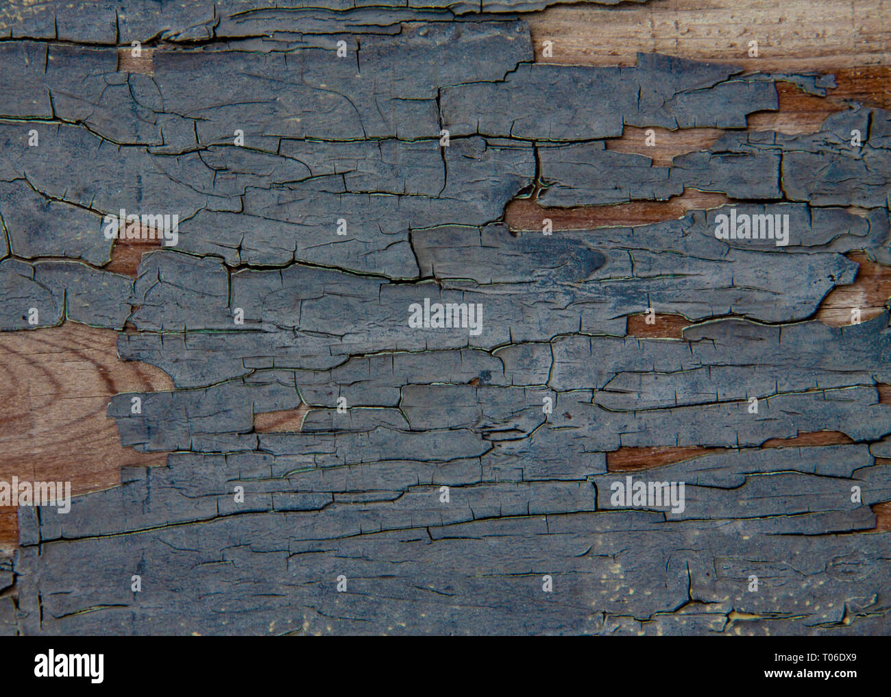 Il legno vecchio texture di sfondo. Close up Foto Stock