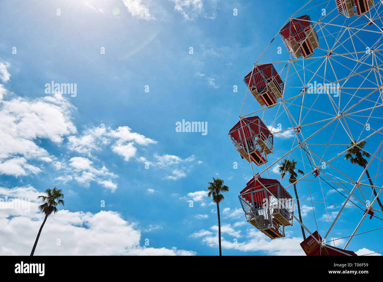 Coloratissima ruota panoramica Ferris contro un vibrante blu cielo e palme con copia spazio. Foto Stock