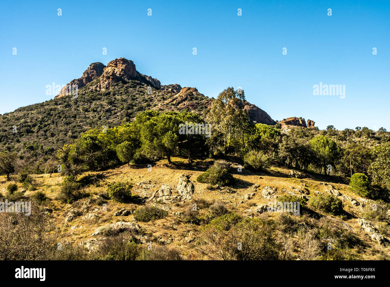 Vista panoramica sul sentiero di rocce rosse di Roquebrune sur Argens, Francia Foto Stock