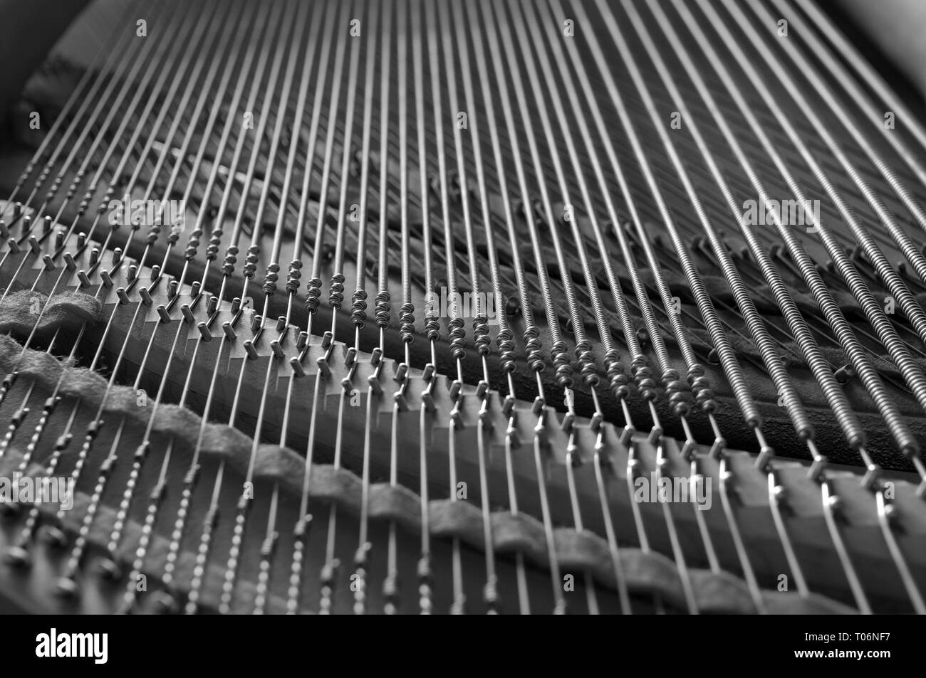 Baby grand piano stringhe in monocromia Foto Stock