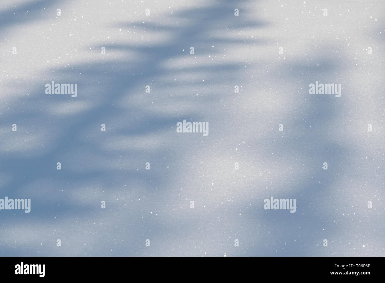 Struttura diagonale ombre sui prodotti freschi e scintillanti di neve Foto Stock