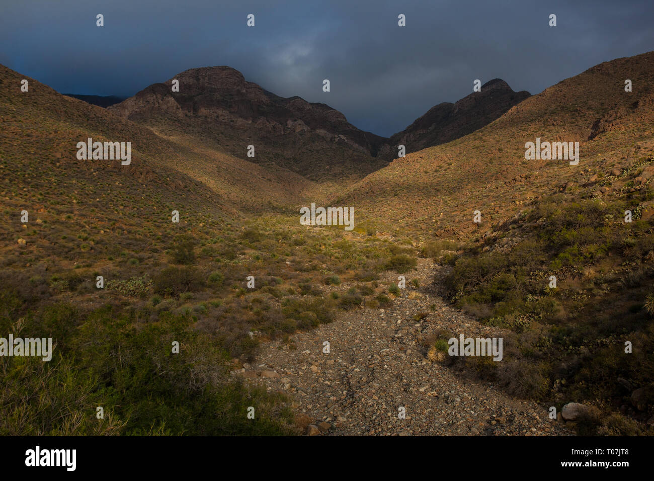 El Paso, El Paso County, Texas, Stati Uniti d'America Foto Stock