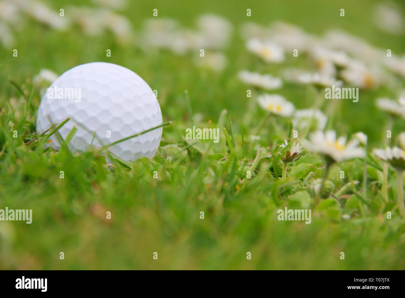 Pallina da golf su erba verde naturalmente vista da vicino Foto Stock