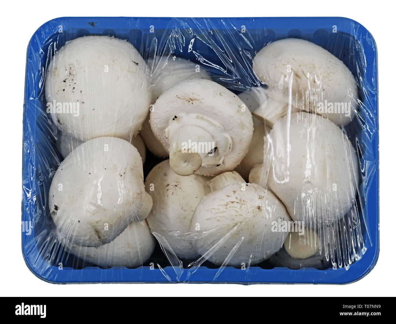 Funghi bianco avvolto con un foglio di alluminio in una ciotola blu, vista dall'alto Foto Stock