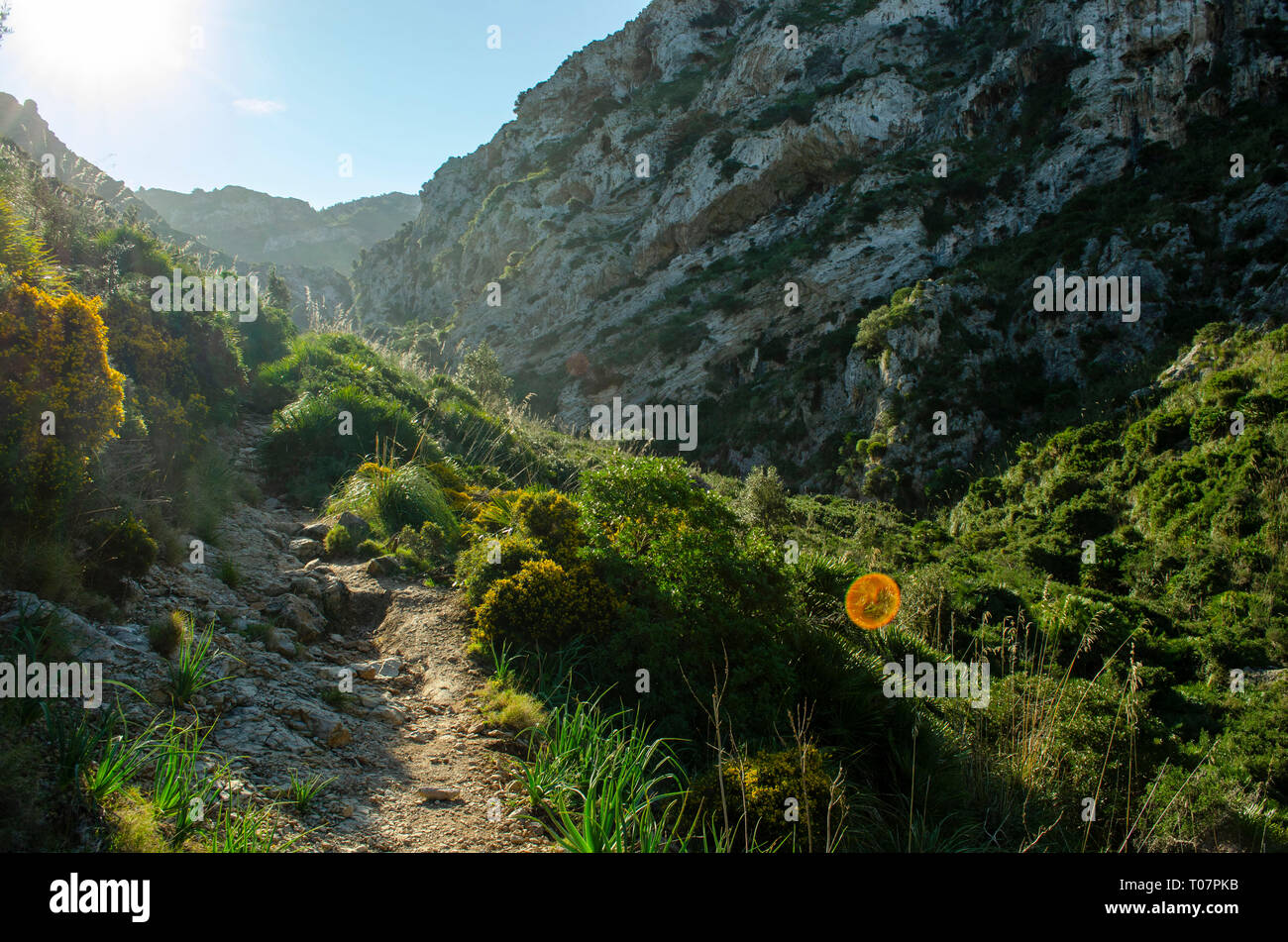 Mallorca Foto Stock