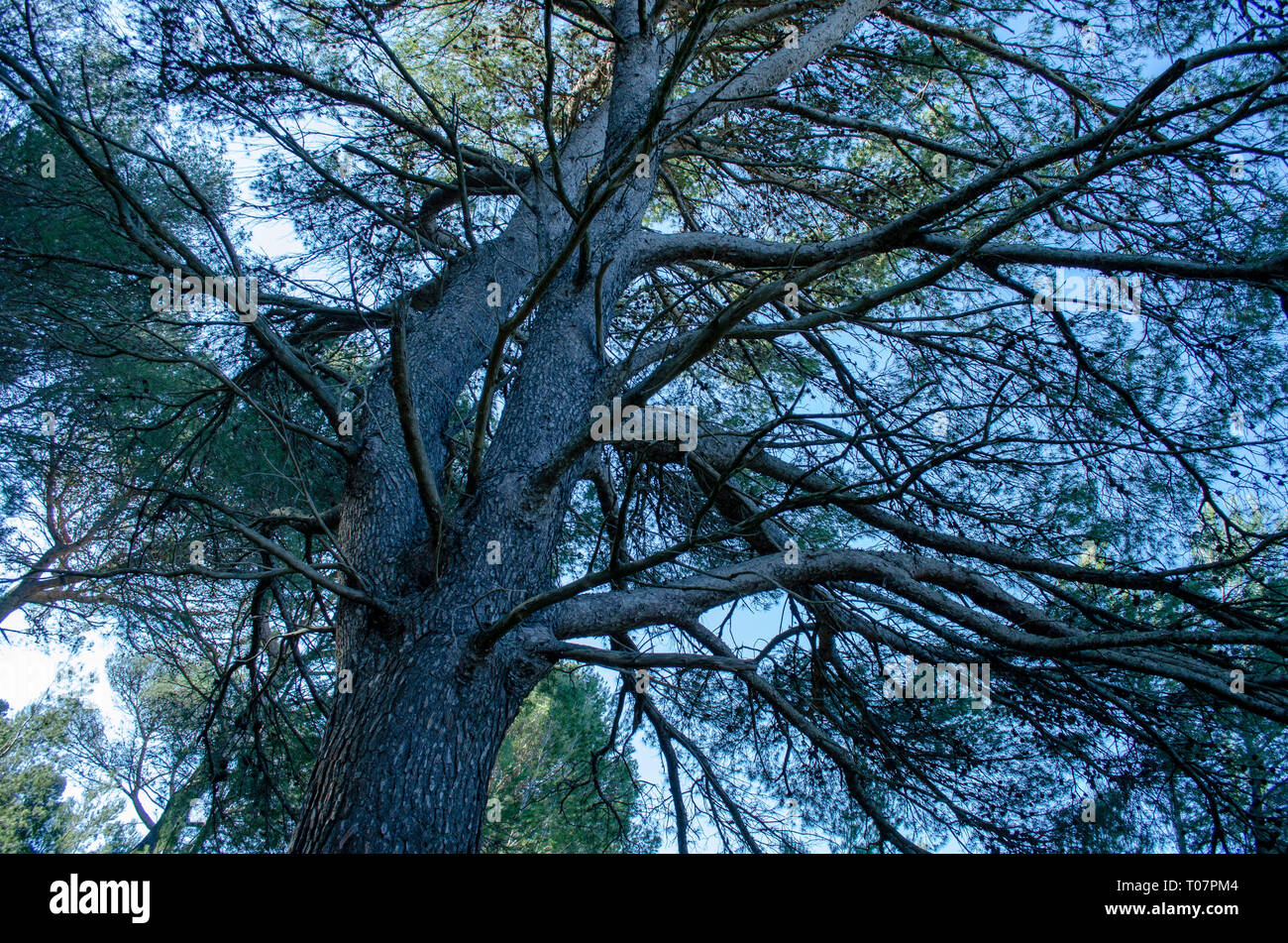 Mallorca Foto Stock