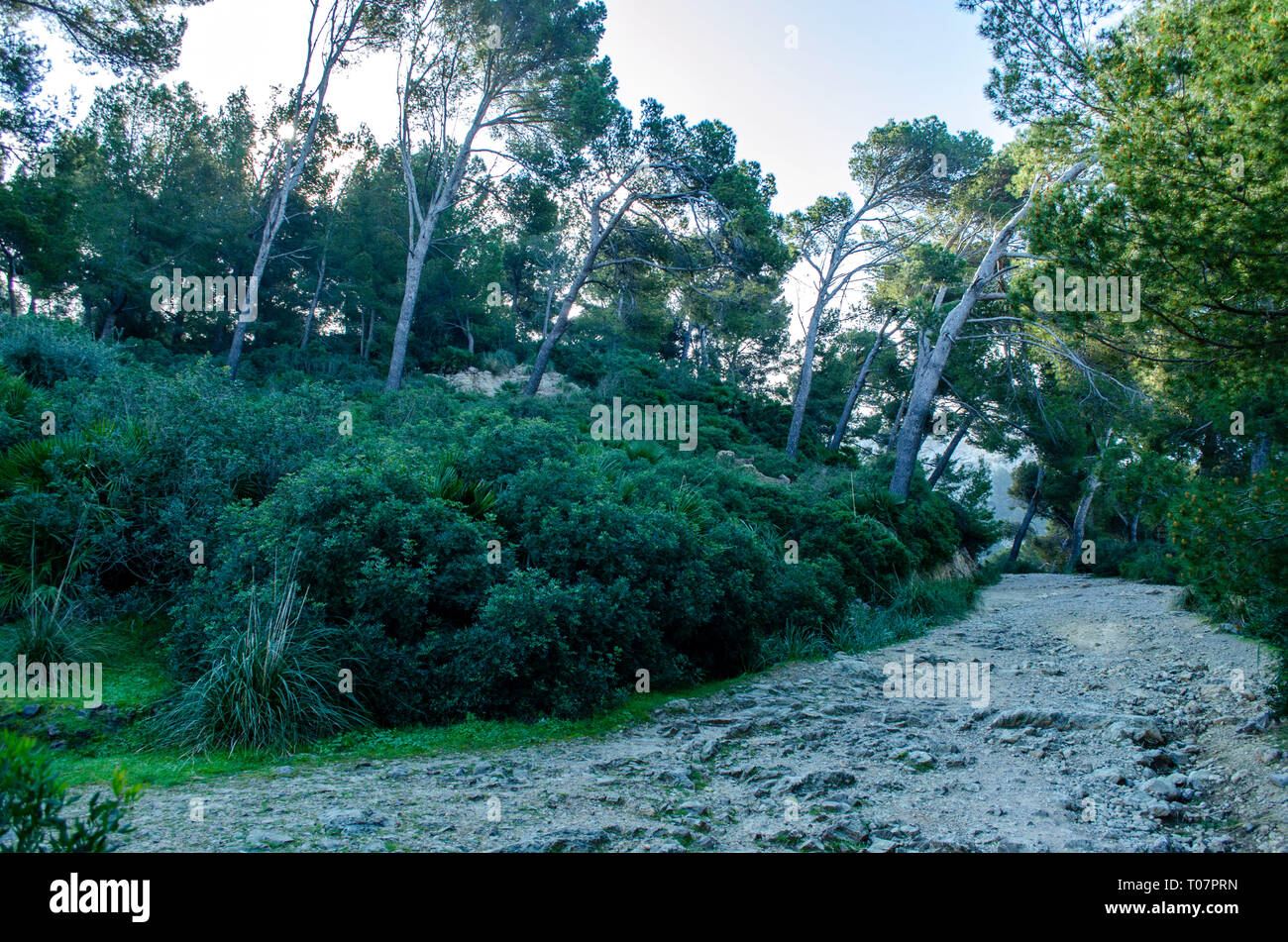 Mallorca Foto Stock