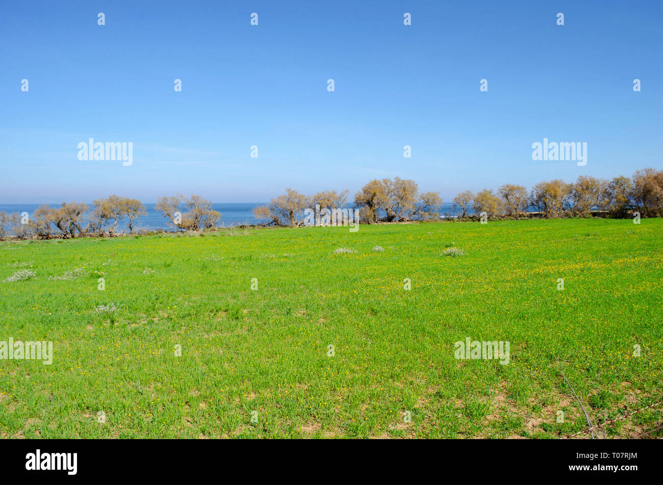 Mallorca Foto Stock