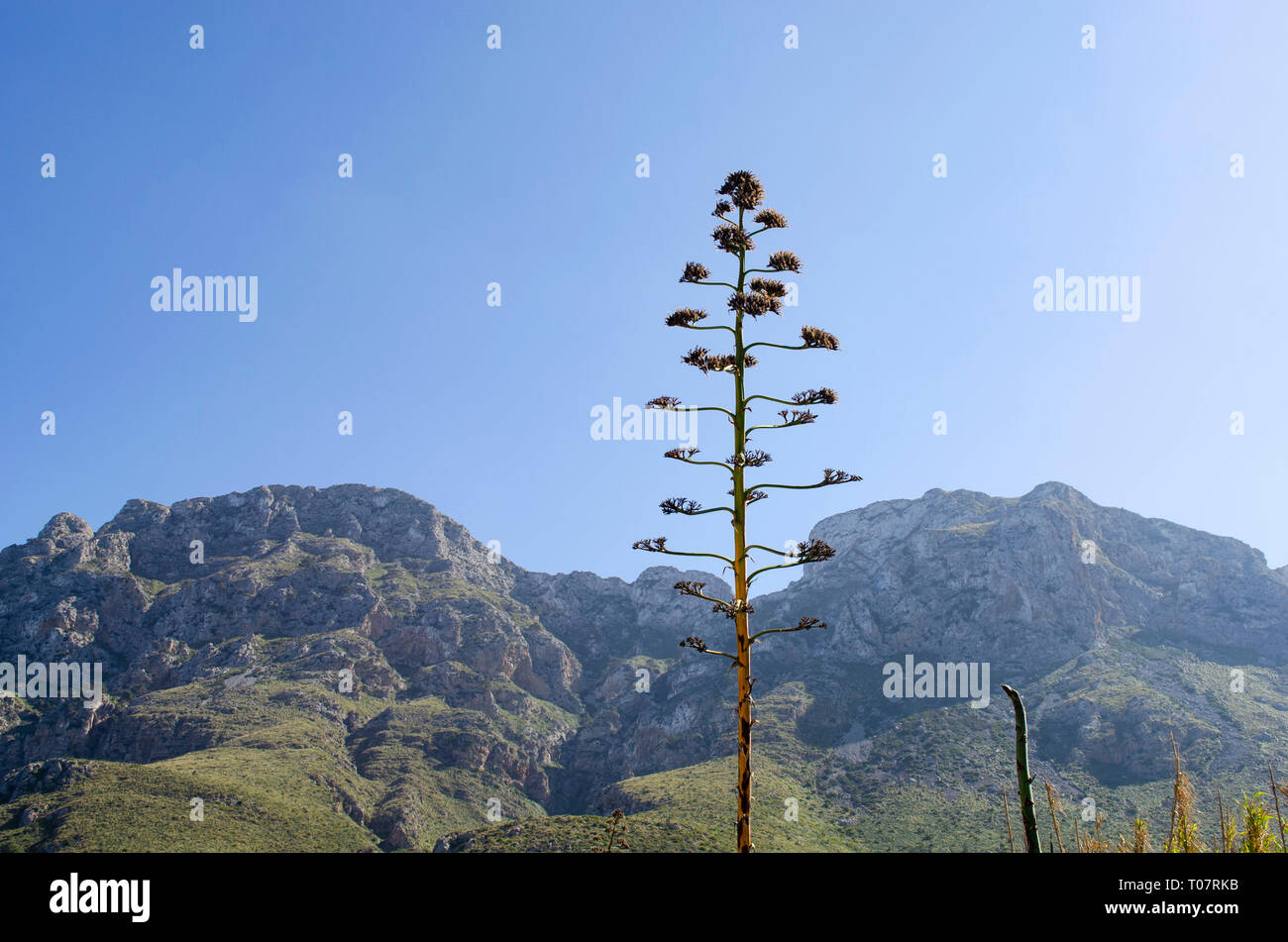Mallorca Foto Stock